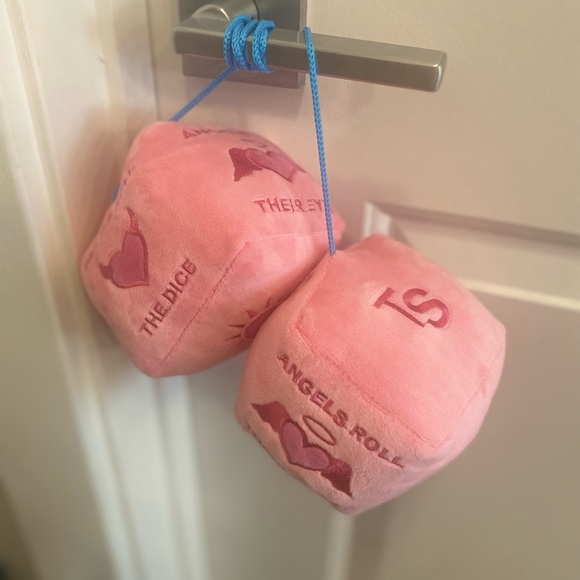 taylor swift devils roll the dice fuzzy lover valentines day valentine’s pink TS - Picture 13 of 16